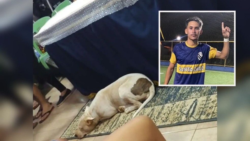 Cadela comove ao acompanhar velório de tutor morto em acidente de moto em Crateús, no Ceará — Foto: Arquivo pessoal
