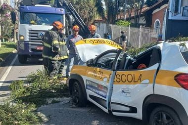 Jovem morreu após carro ser atingido por árvore em São José dos Campos