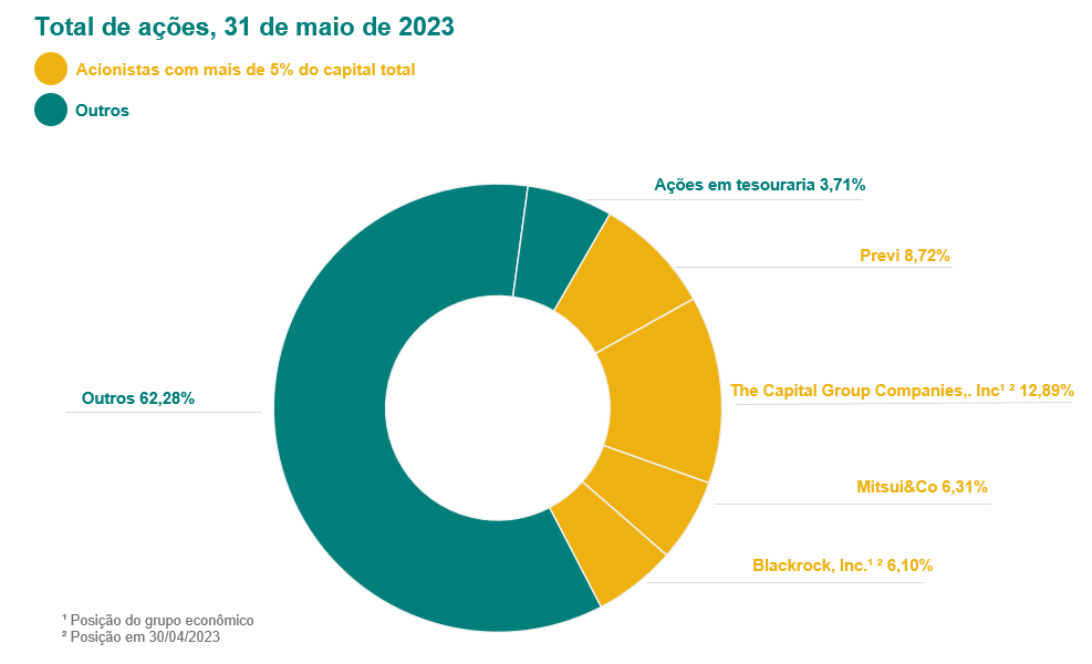 Composição Acionária da Vale