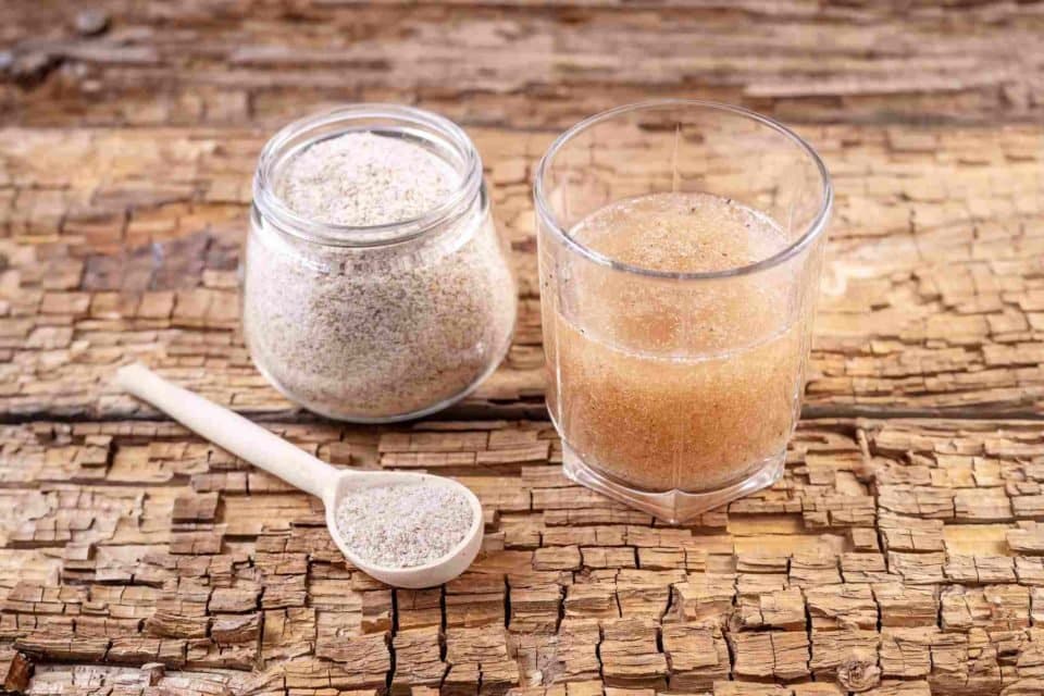 Foto mostra sementes de psyllium que podem ser tomadas como suplemento para emagrecimento