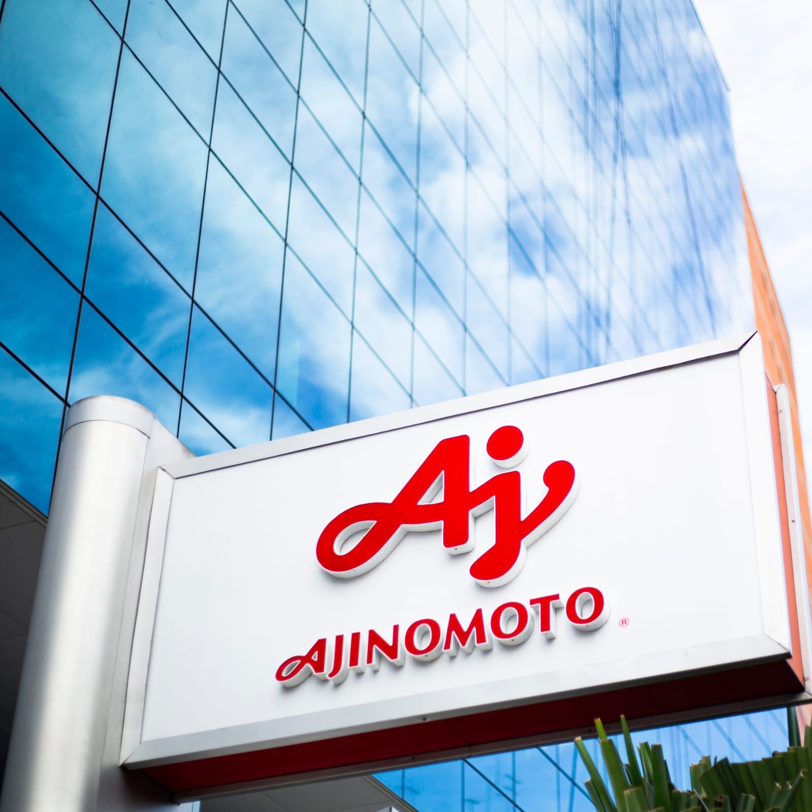 Com loja online exclusiva, Ajinomoto oferece 140 produtos aos "ajilovers" |  Exame