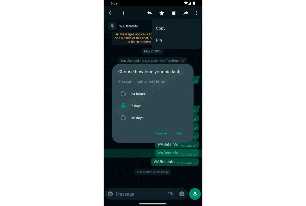Mensagens poderão ser fixadas por até 30 dias no WhatsApp (Imagem: Reprodução/WABetaInfo)