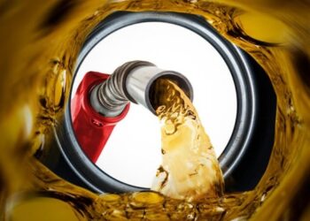 Foto: Divulgação/ALE.