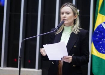 Foto: Reprodução/Câmara dos Deputados 