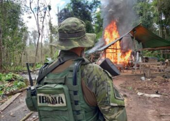 Foto: IBAMA/Divulgação.