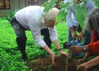 Foto: SARA SULAMITA-MST/DIVULGAÇÃO - 11/2/20223.