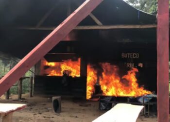 Foto: Divulgação/PF.