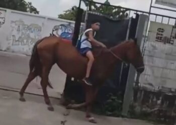 Foto:  Reprodução