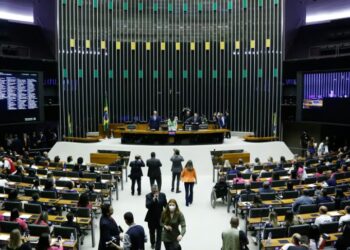 Foto: Elaine Menke/Câmara dos Deputados