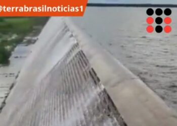 Foto: Reprodução.