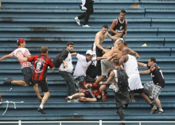 Foto:  Reprodução