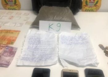 Foto: Divulgação/Polícia Civil.