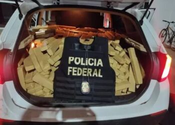Foto: Reprodução.