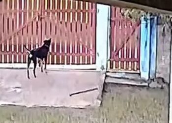 Foto: Reprodução/YouTube/Jornal Cruzeiro do Sul.