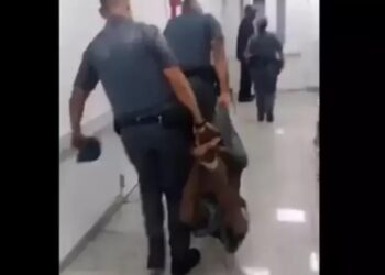 Foto:  Reprodução