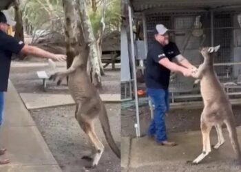 Foto: Reprodução/Twitter.