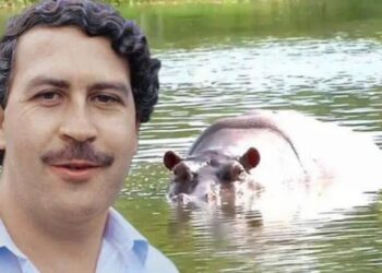 Foto: Reprodução/O Globo.