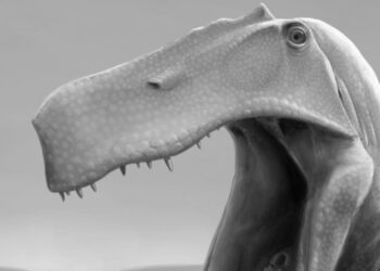Imagem digital supõe como seria o irritator challengeri. Reprodução/Twitter/@LordTrilobite.