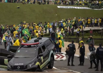 Reprodução.