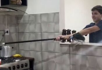 Reprodução