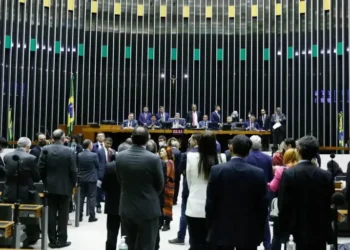 Reprodução/Câmara dos Deputados.