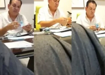 Reprodução.