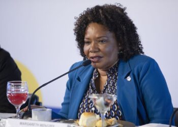 Joédson Alves/Agência Brasil.