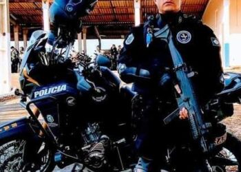 Reprodução/SSPDS.
