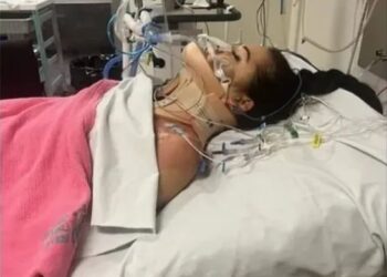 Reprodução/GoFundMe.