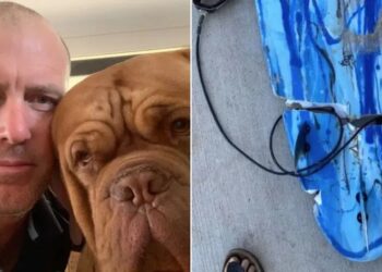 Toby Begg e sua prancha destruída em ataque de tubarão que lhe custou a perda de uma perna — Foto: Reprodução.