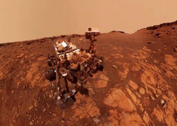 Artsiom P - Shutterstock.