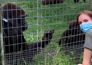 REPRODUÇÃO/FACEBOOK/@THETORONTOZOO.