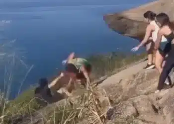 Reprodução.