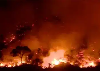 Alexandro Pereira/Rede Amazônica.