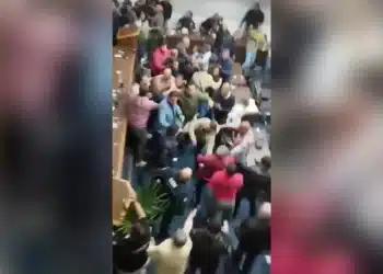 Reprodução.