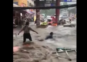 Reprodução Twitter