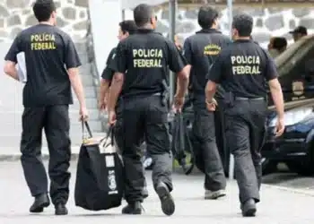 Reprodução.