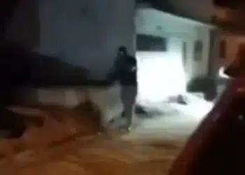Reprodução.