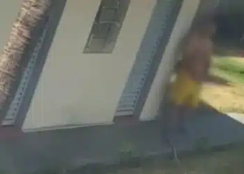 Divulgação/Polícia Civil.