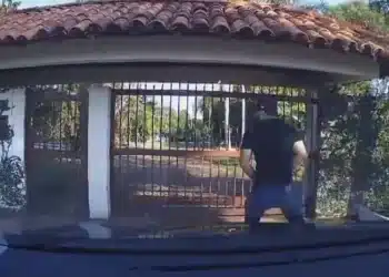 Reprodução.