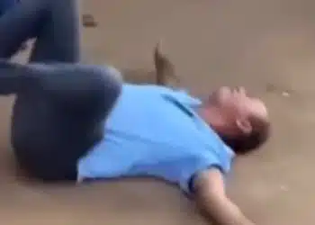 Reprodução