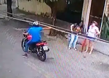 Reprodução.