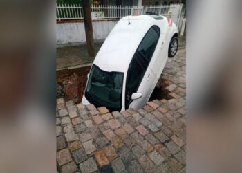 Reprodução.