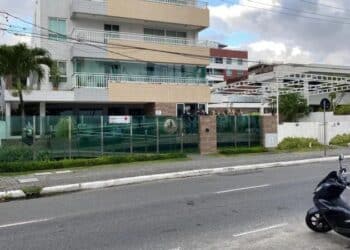 Reprodução.
