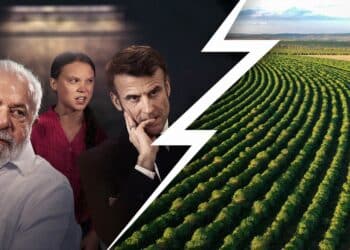 Reprodução.