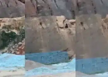 TV Integração/Reprodução.