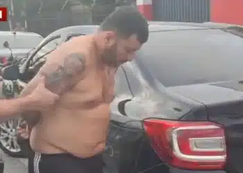Reprodução.