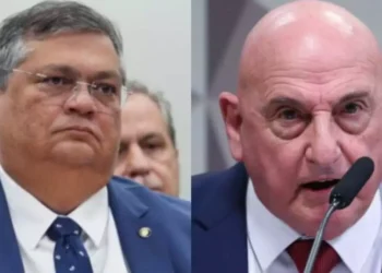 Reprodução/Câmara dos Deputados.