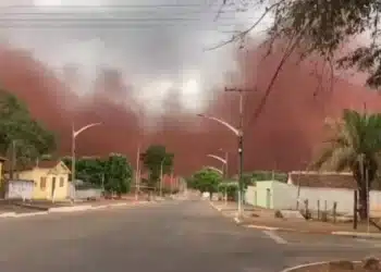 Arquivo pessoal / Aurio Antônio.