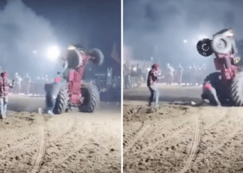 Twitter/Arya_Anviksha_/Reprodução.